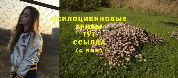 прущие крисы Верея