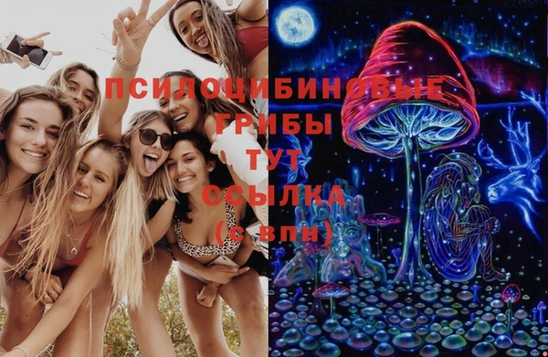 мяу мяу мука Верхний Тагил