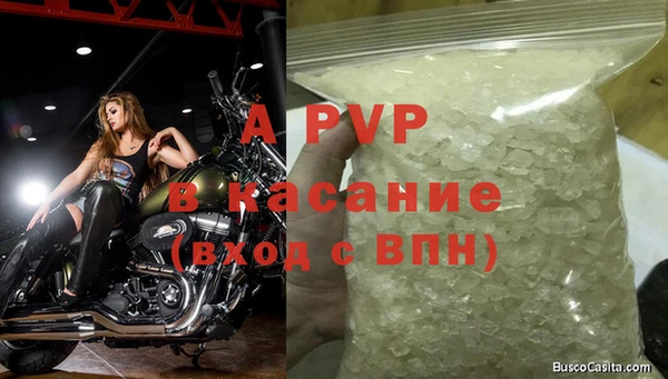 прущие крисы Верея