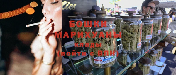 прущие крисы Верея
