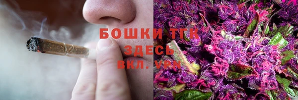 прущие крисы Верея