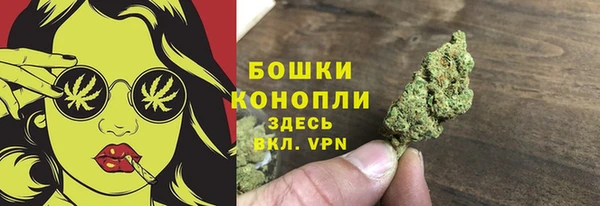 прущие крисы Верея